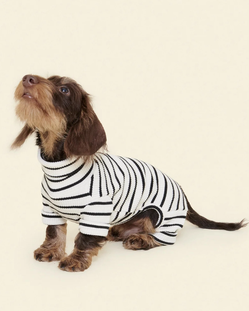 World's Your Oyster Dog Onesie