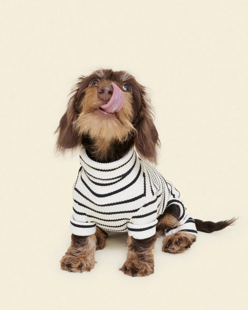World's Your Oyster Dog Onesie