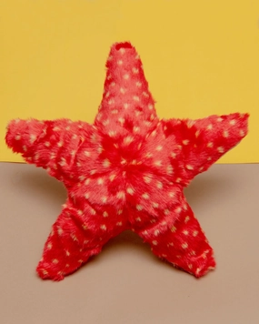 Ziggy Starfish Plush Dog Toy
